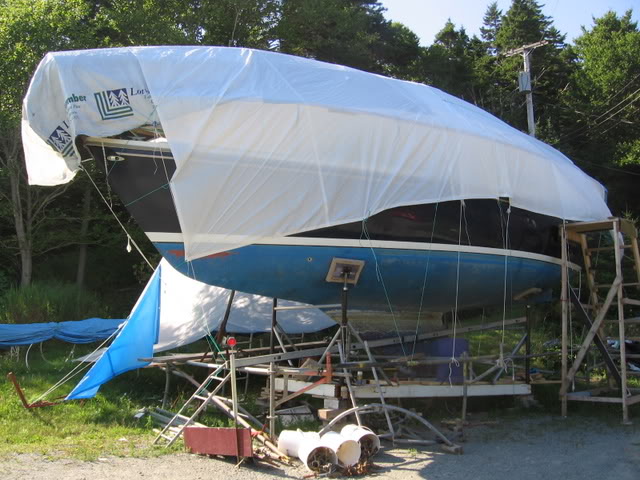IMG_6116-1.jpg