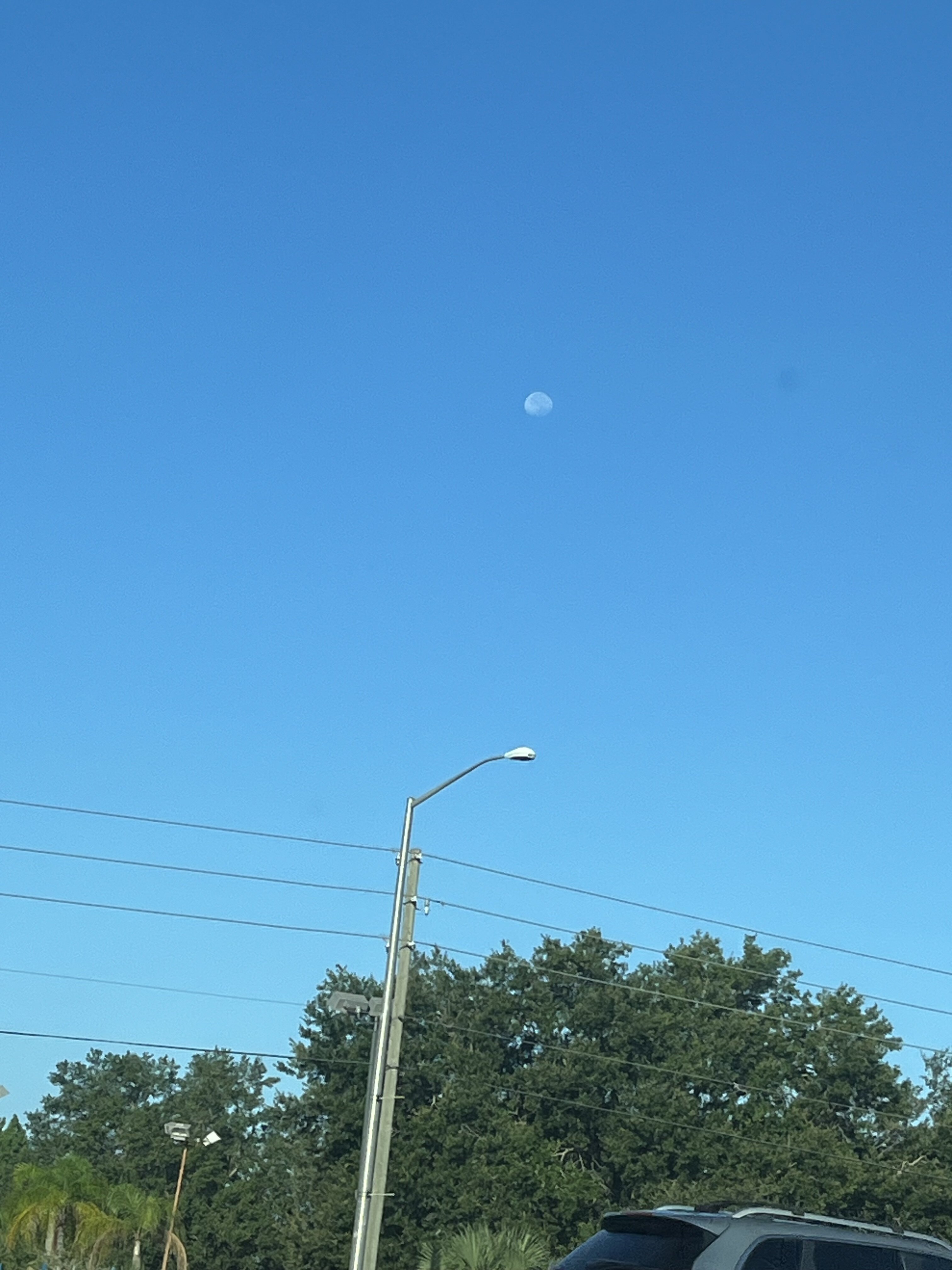 IMG_6179.jpeg