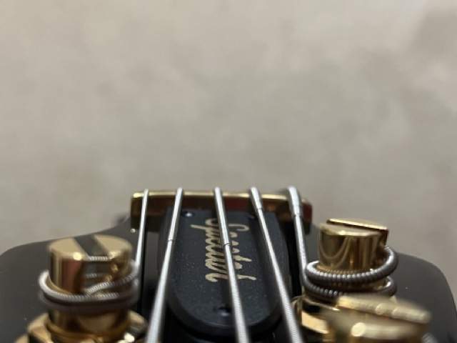 IMG_6180 Medium.jpeg