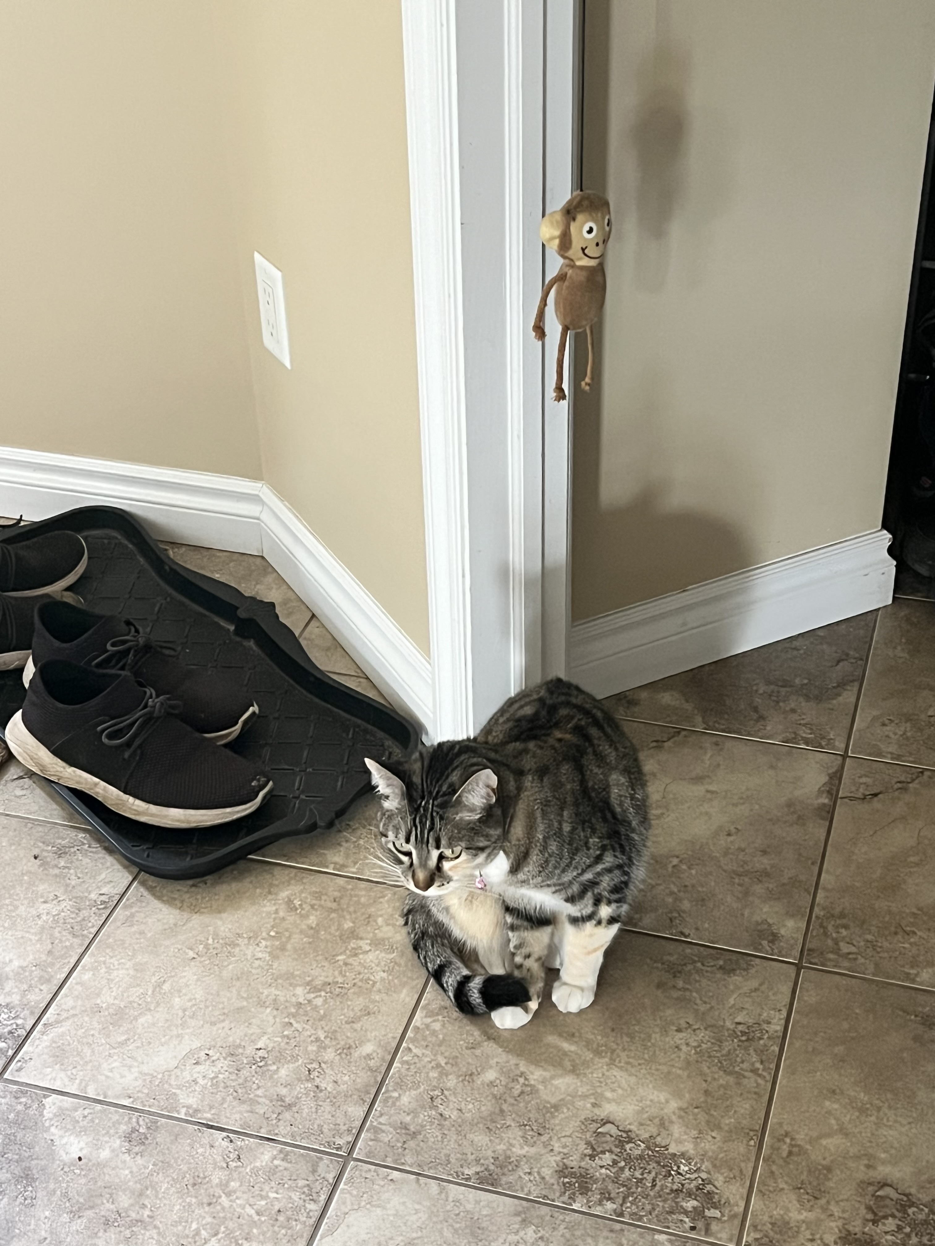 IMG_6184.jpeg