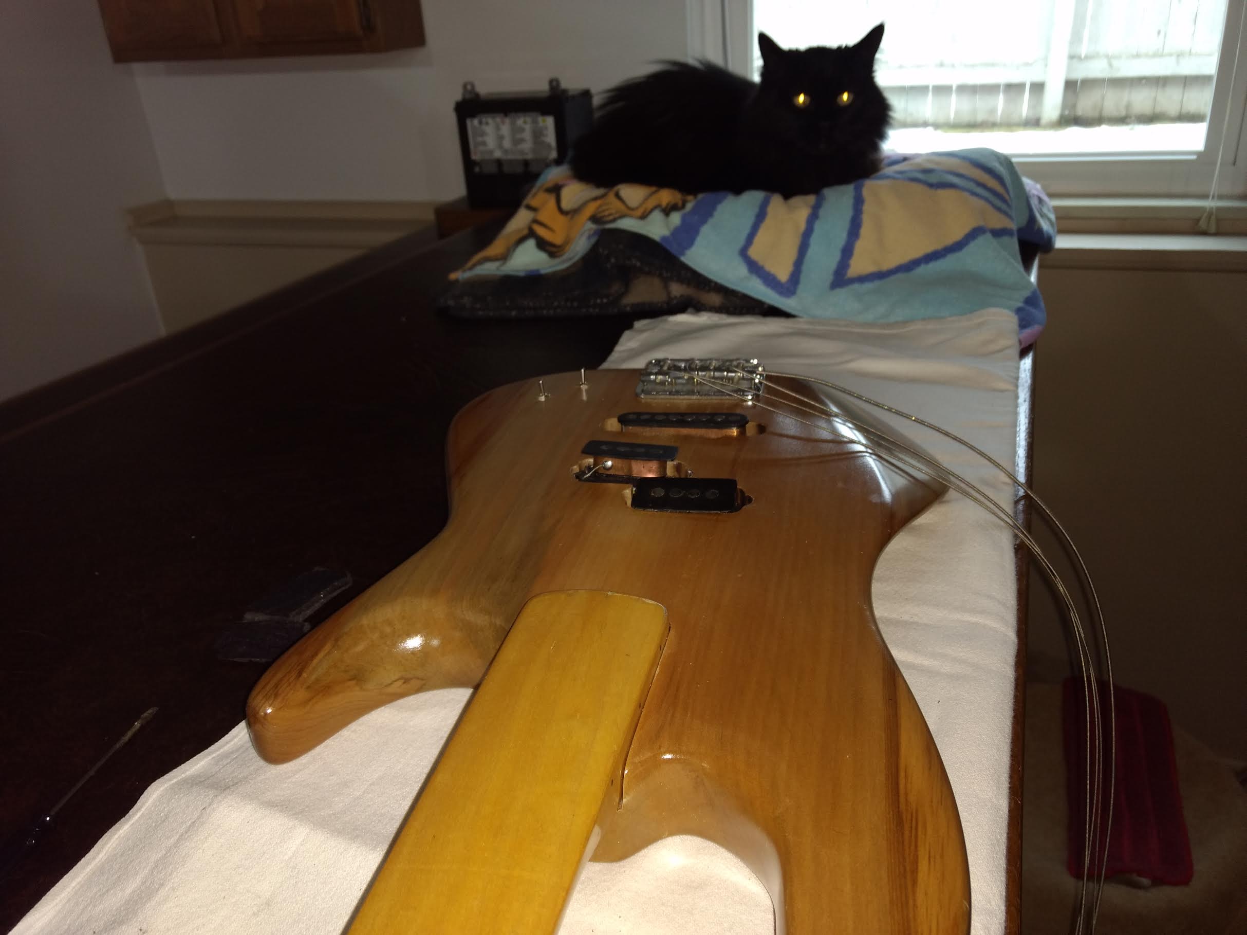 IMG_6219.jpeg