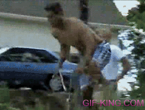 IMG_6294.gif