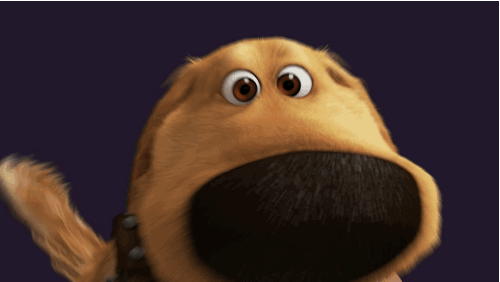 IMG_6332.gif