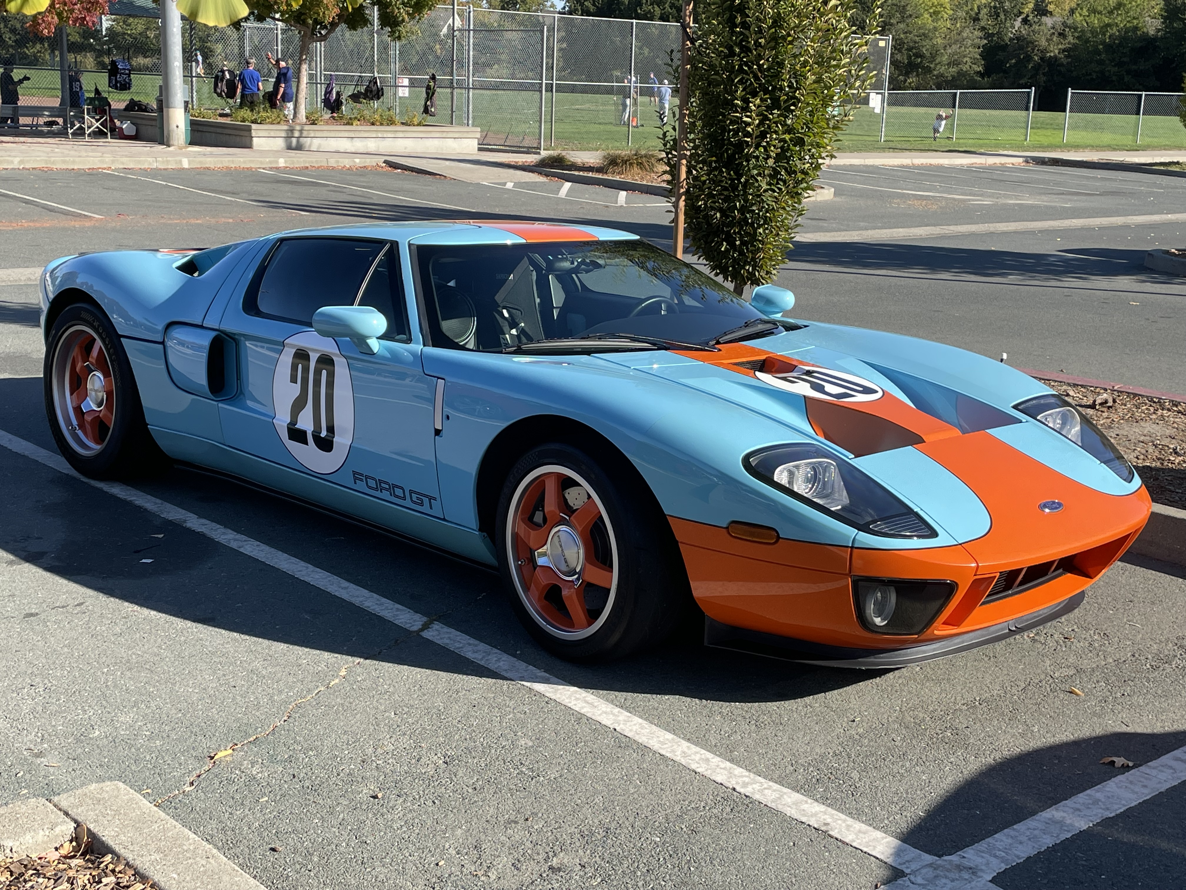 IMG_6372.jpeg