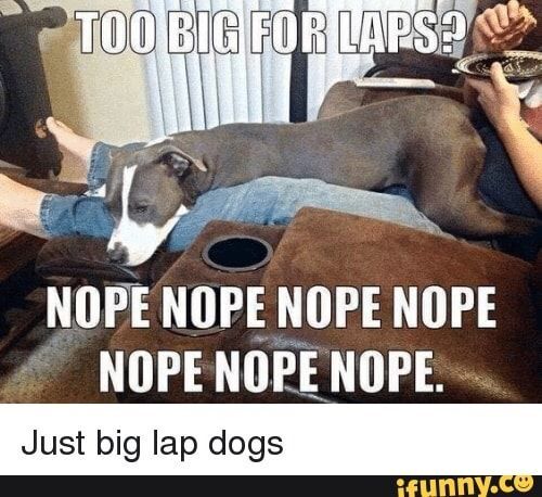 IMG_6422.jpeg