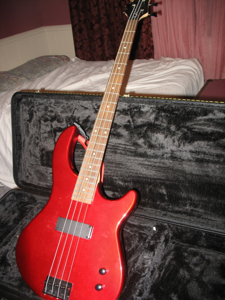 IMG_6462.jpg