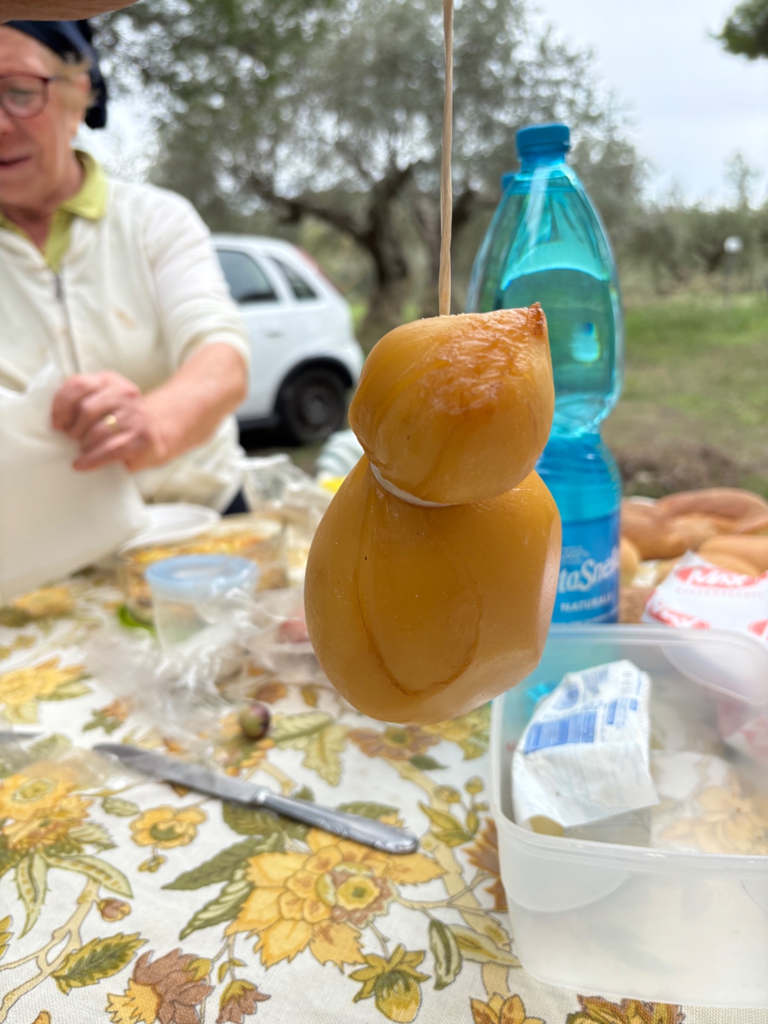 IMG_6682.jpeg