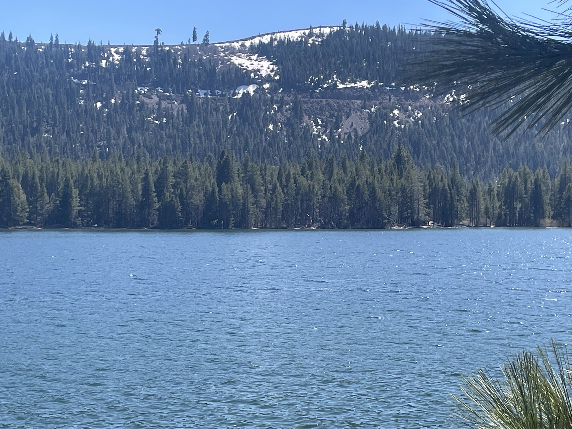 IMG_6716.jpeg