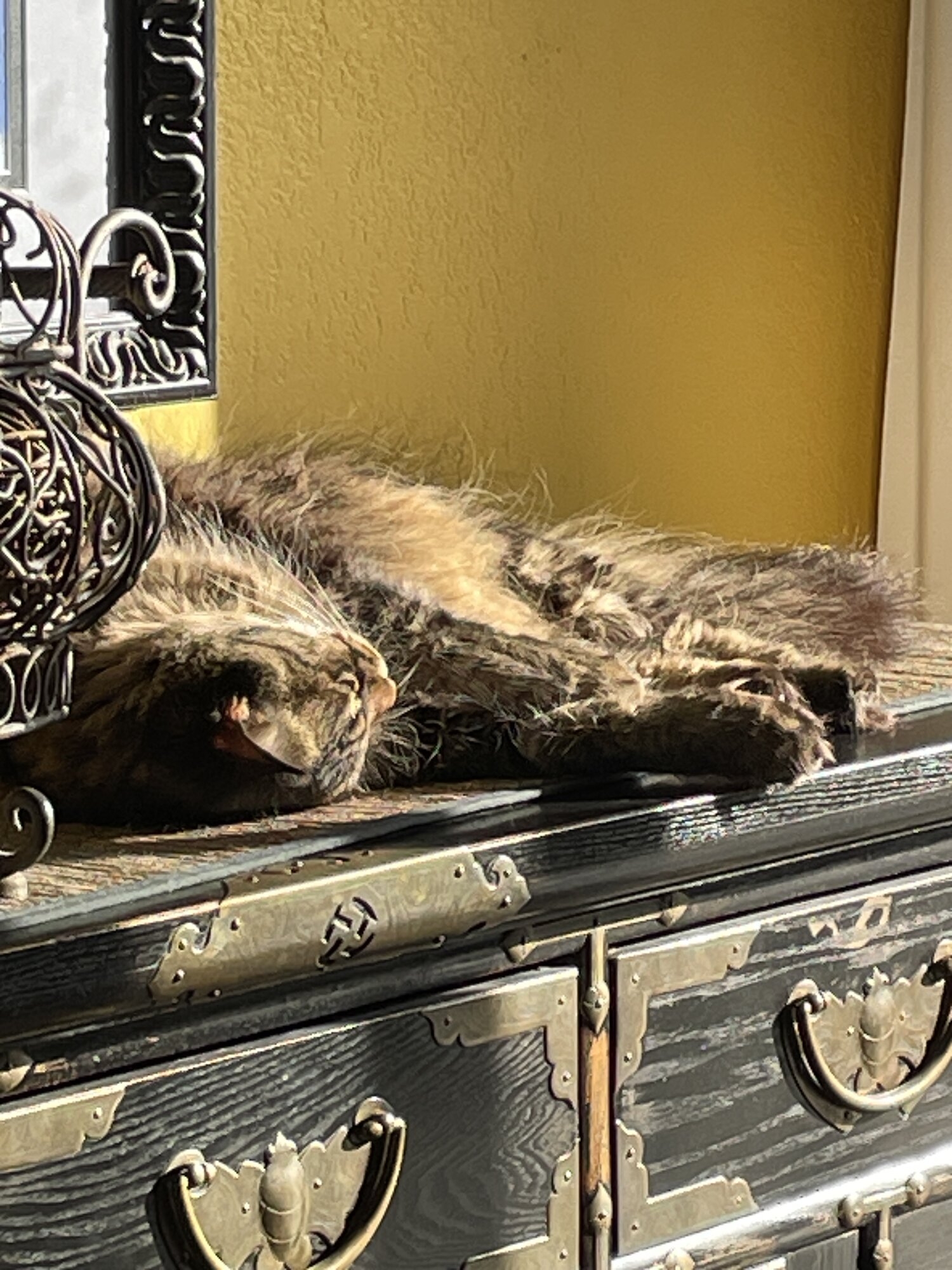 IMG_6725.jpeg