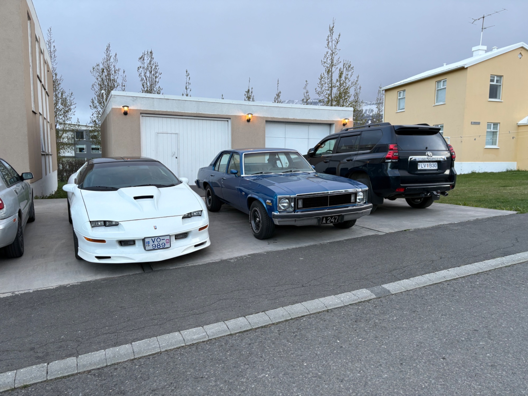 IMG_6819.jpeg