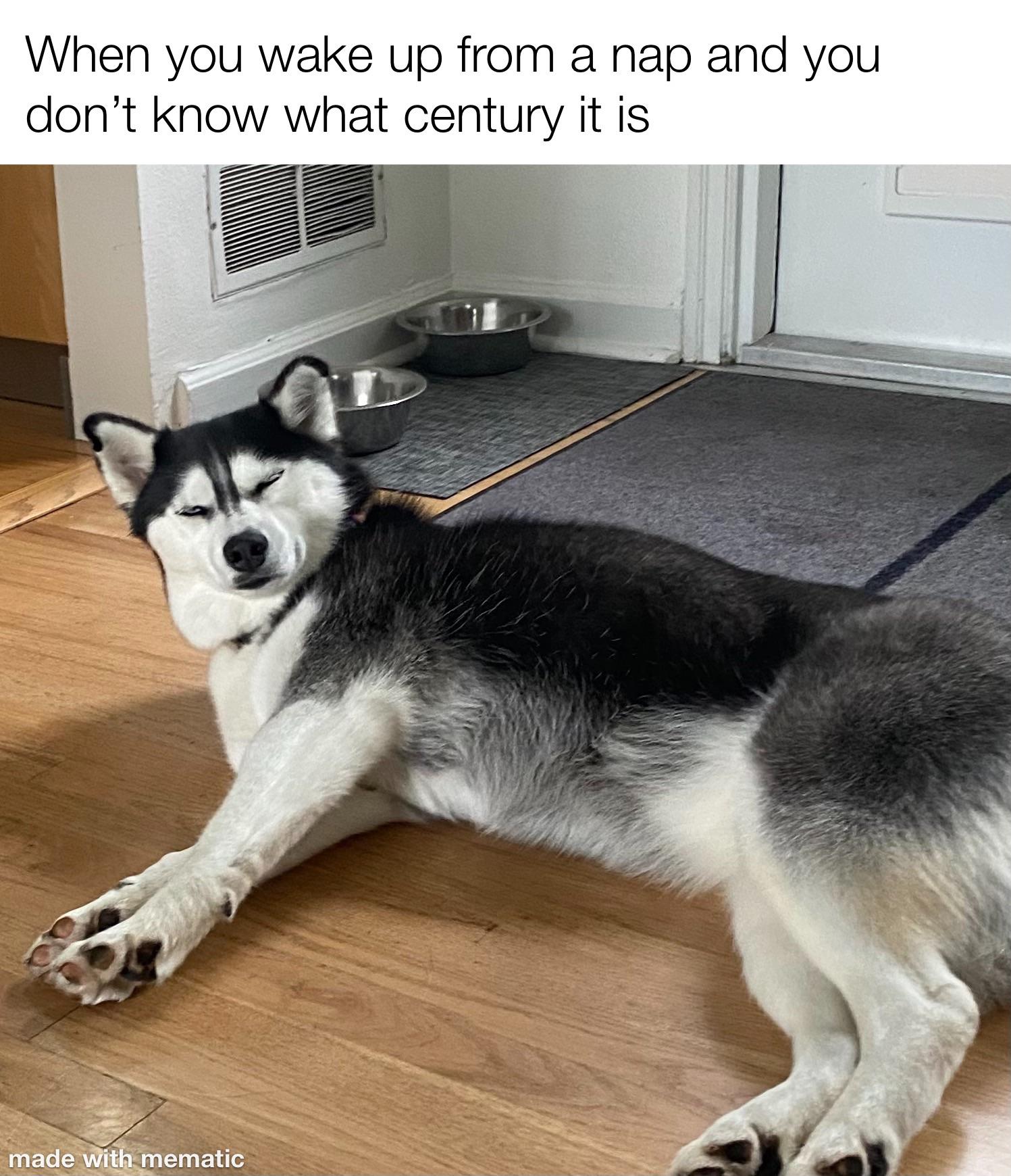 IMG_6868.jpeg