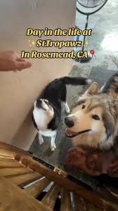 IMG_6892.jpeg