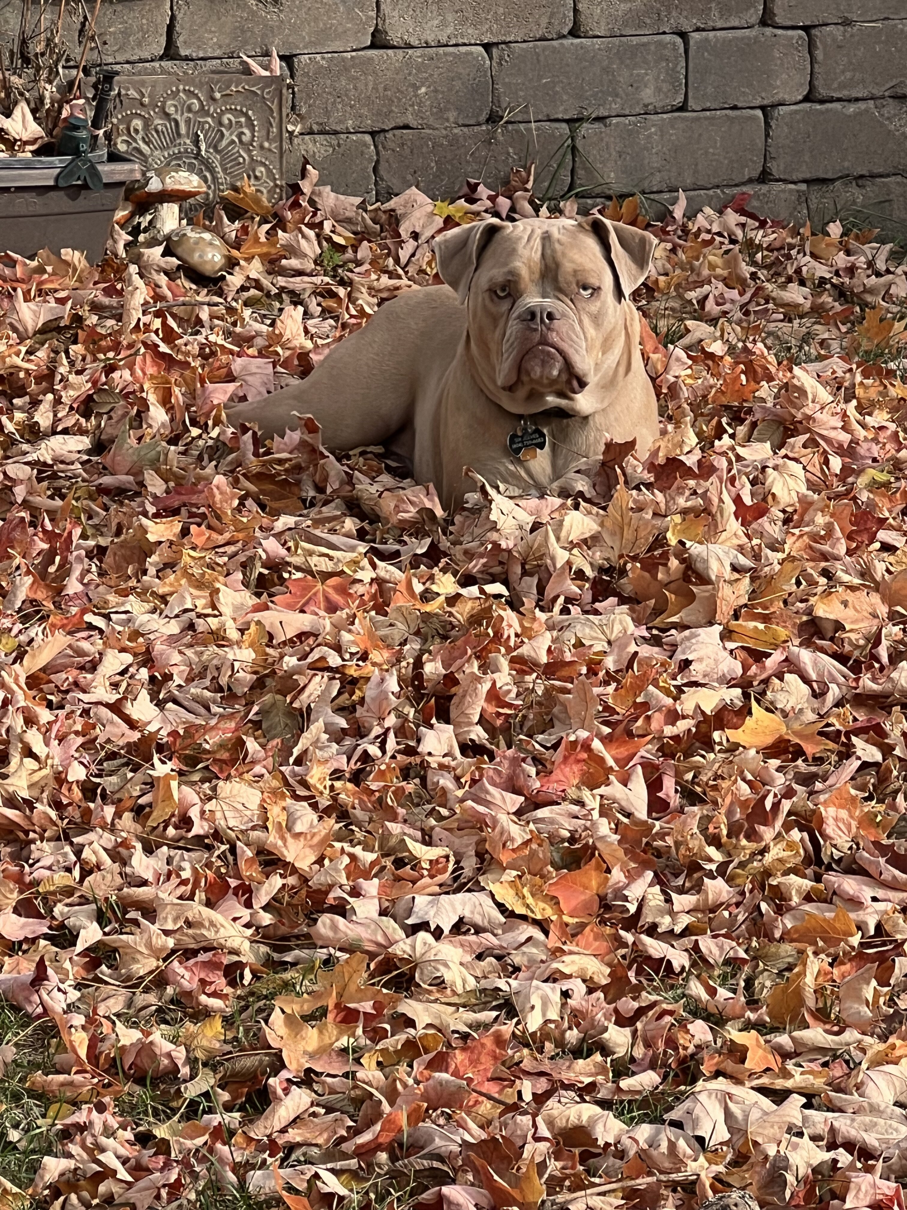IMG_6925.jpeg