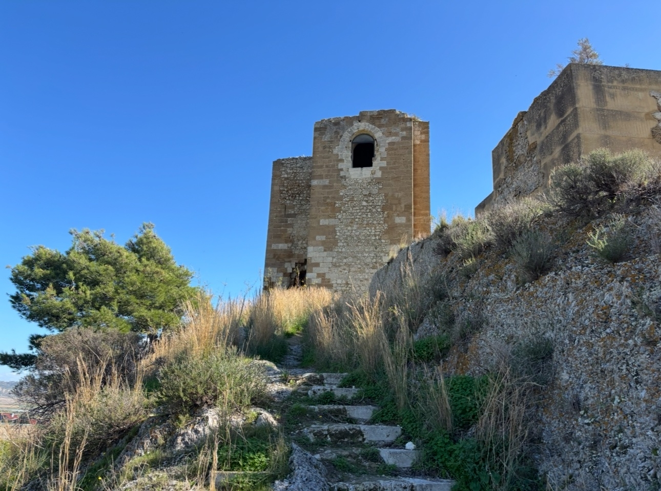 IMG_7072.jpeg