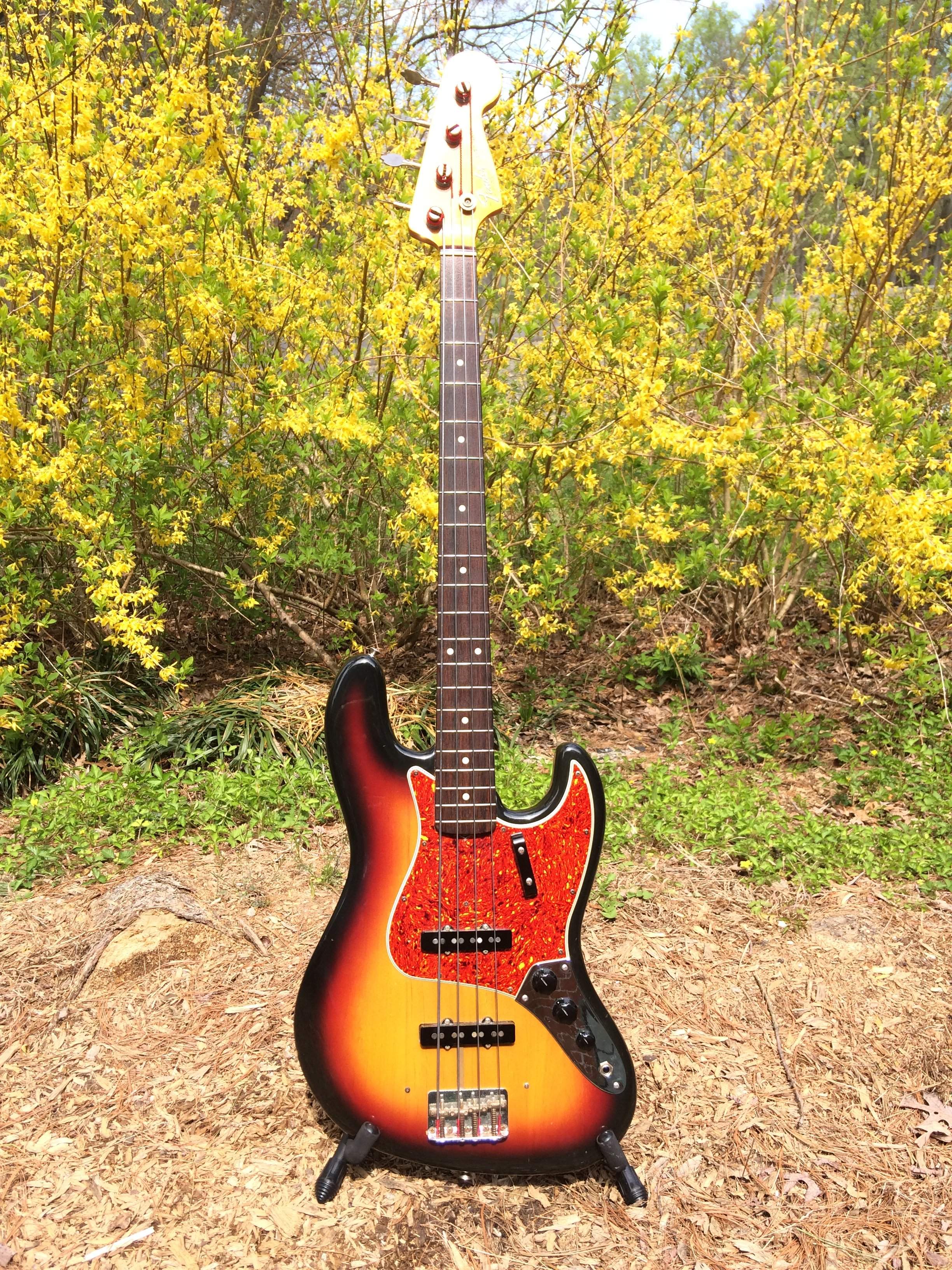 IMG_7092.JPG