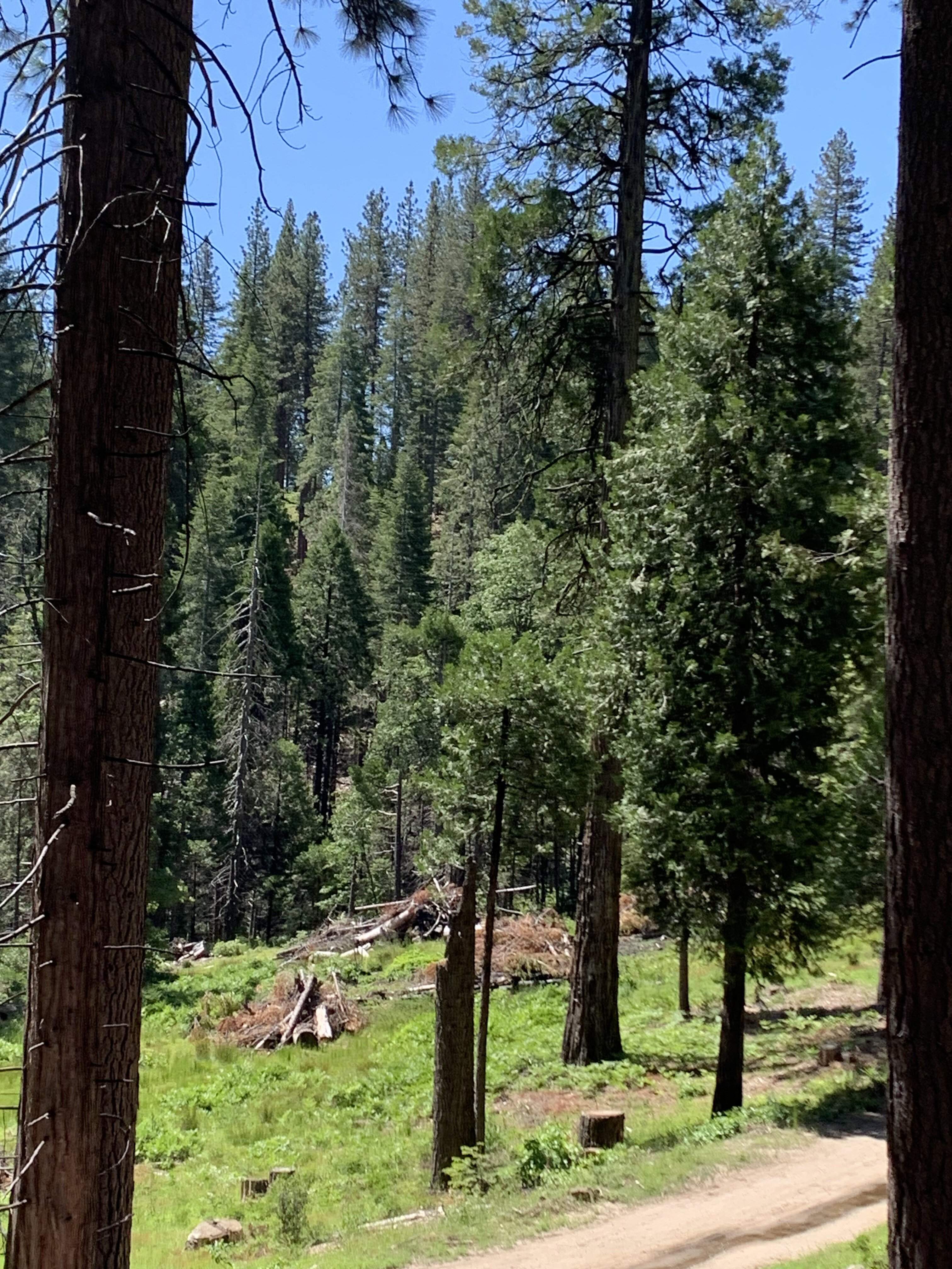 IMG_7111.jpeg