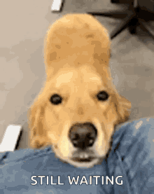 IMG_7206.gif