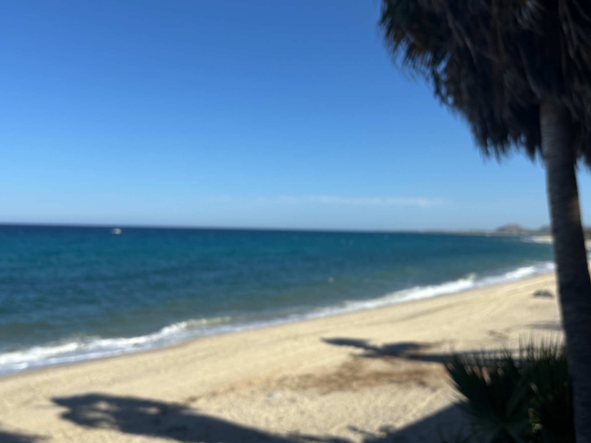 IMG_7336.jpeg