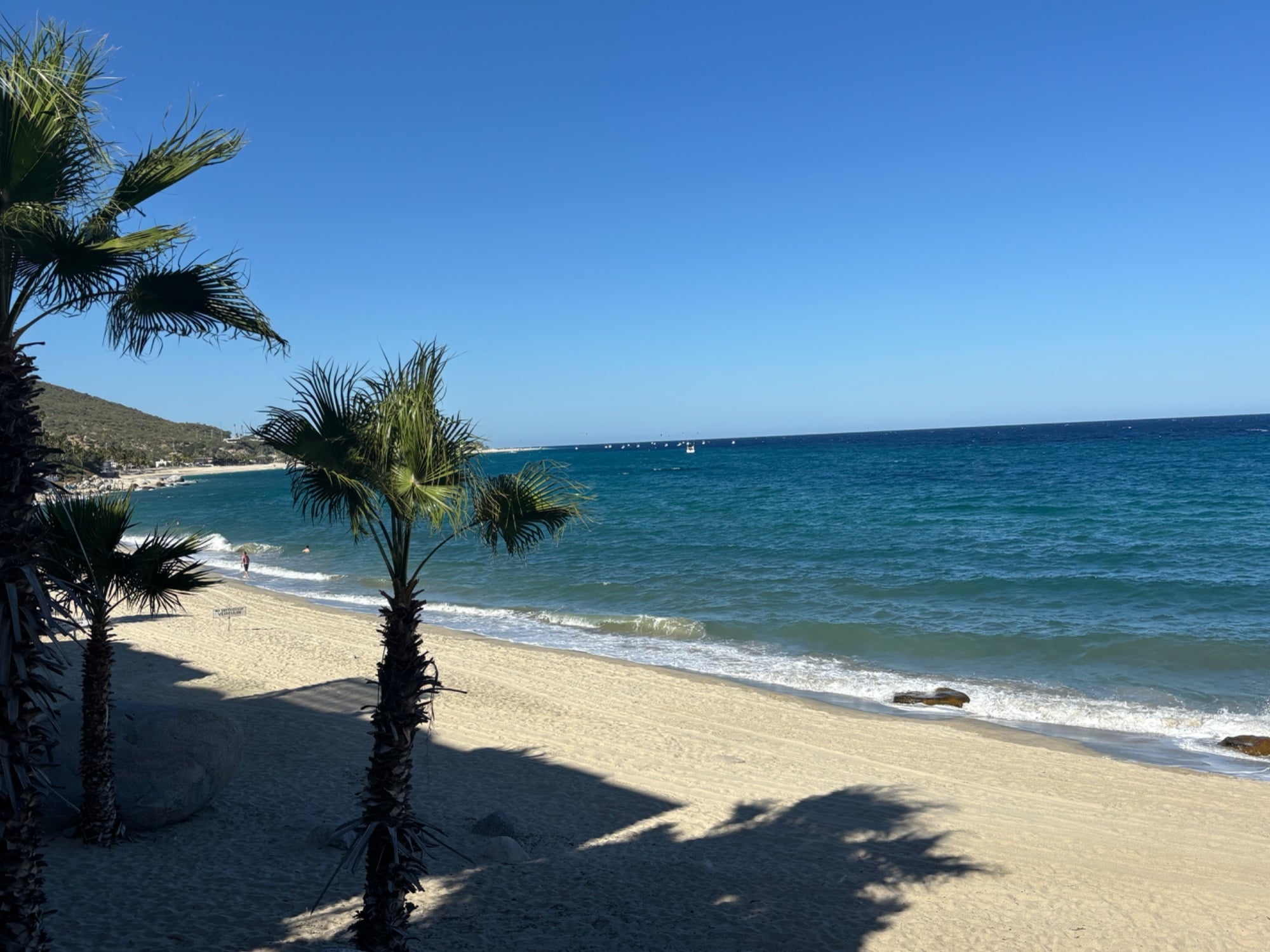 IMG_7337.jpeg
