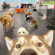 IMG_7522.jpeg