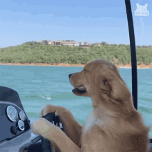 IMG_7568.gif