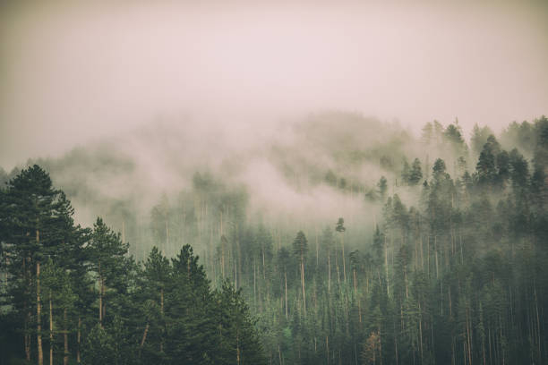 IMG_7574.jpeg
