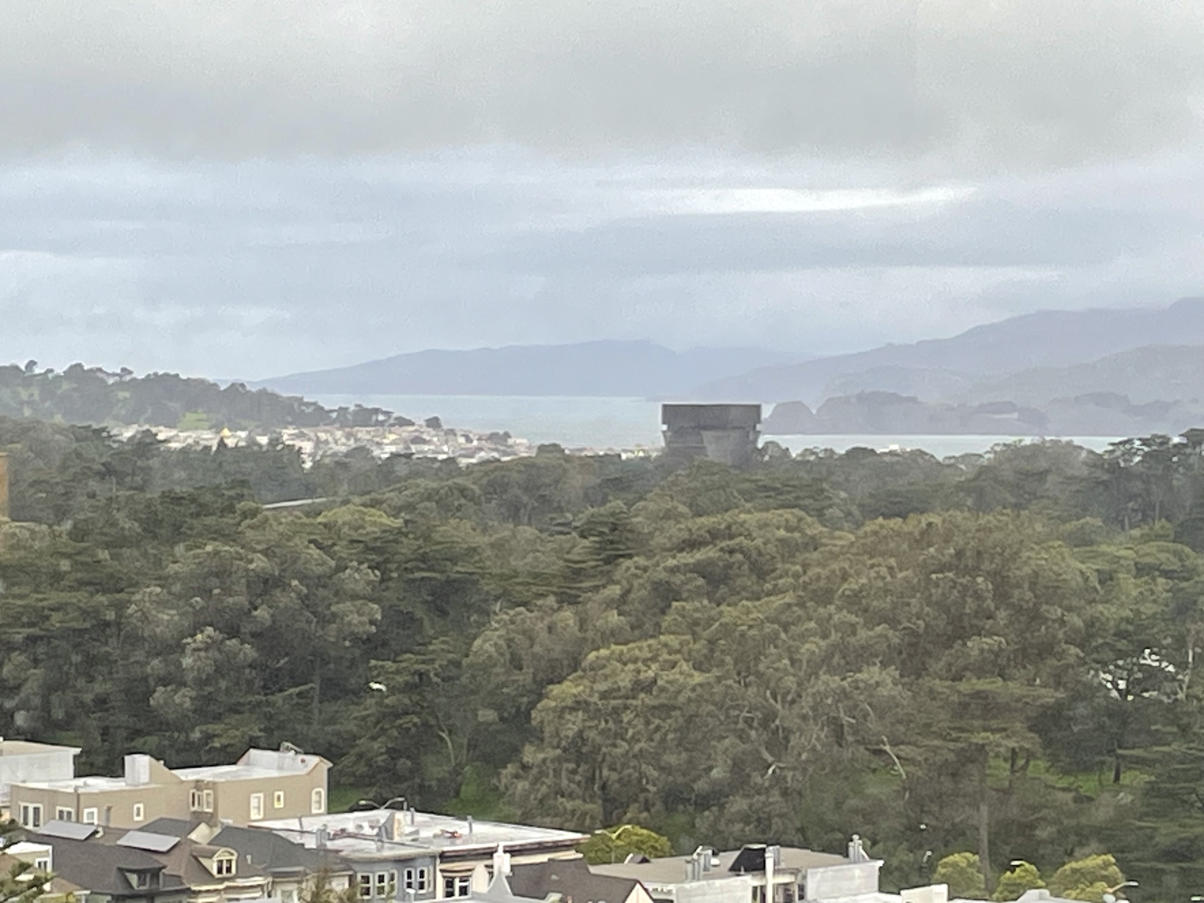 IMG_7625.jpeg