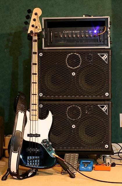 IMG_7639rigwpickguard420x640.jpg