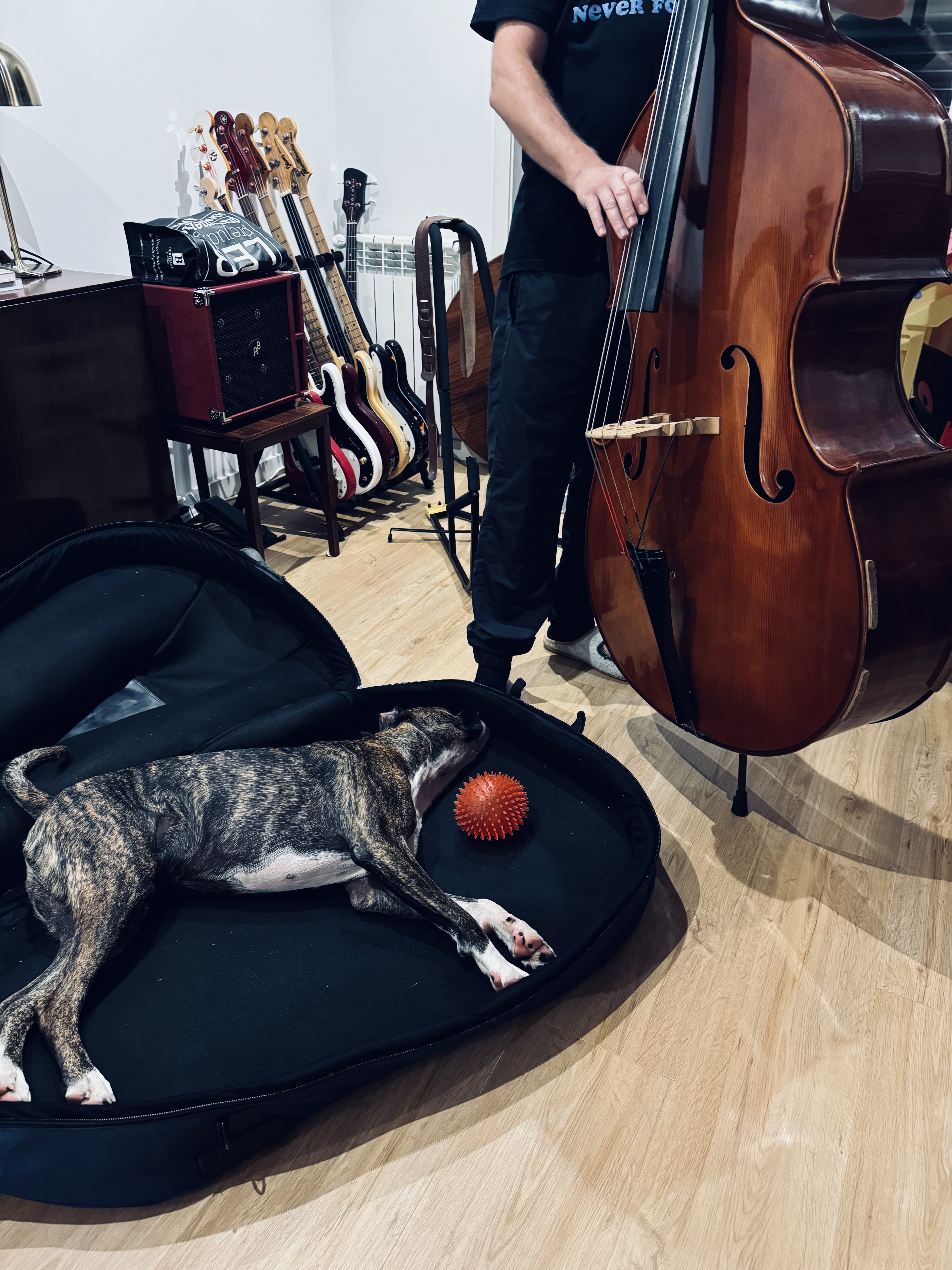 IMG_7641.jpeg