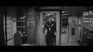 IMG_7875.gif