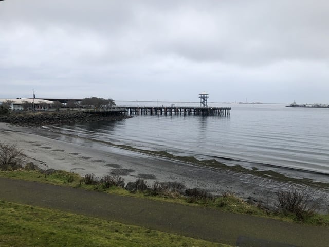 IMG_7878.jpeg