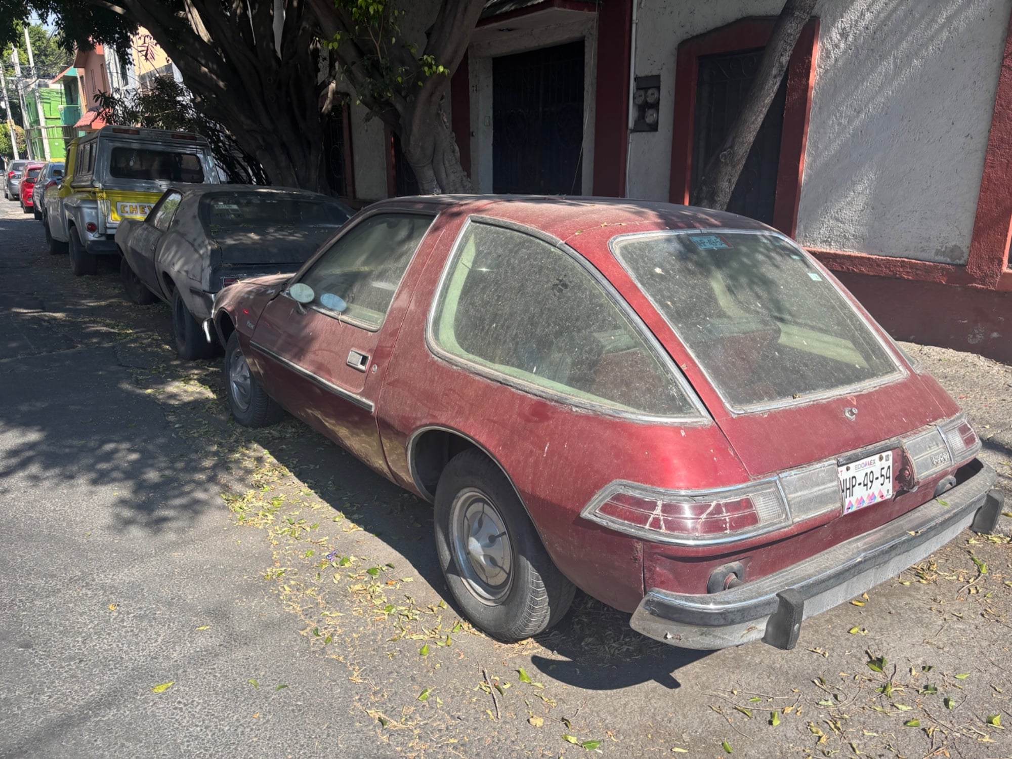 IMG_7906.jpeg