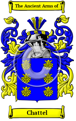 IMG_8014.png