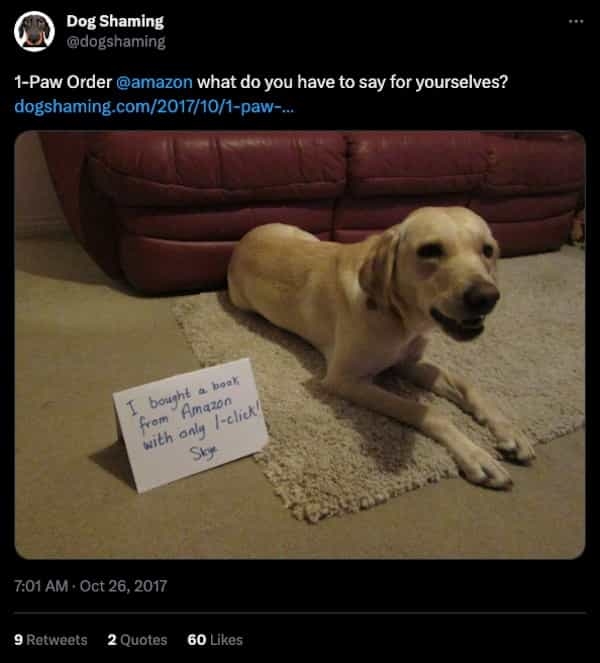 IMG_8041.jpeg