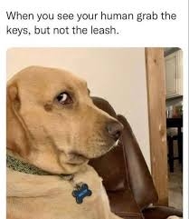 IMG_8226.jpeg