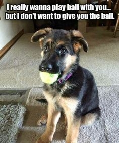 IMG_8243.jpeg
