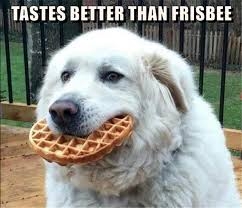 IMG_8256.jpeg