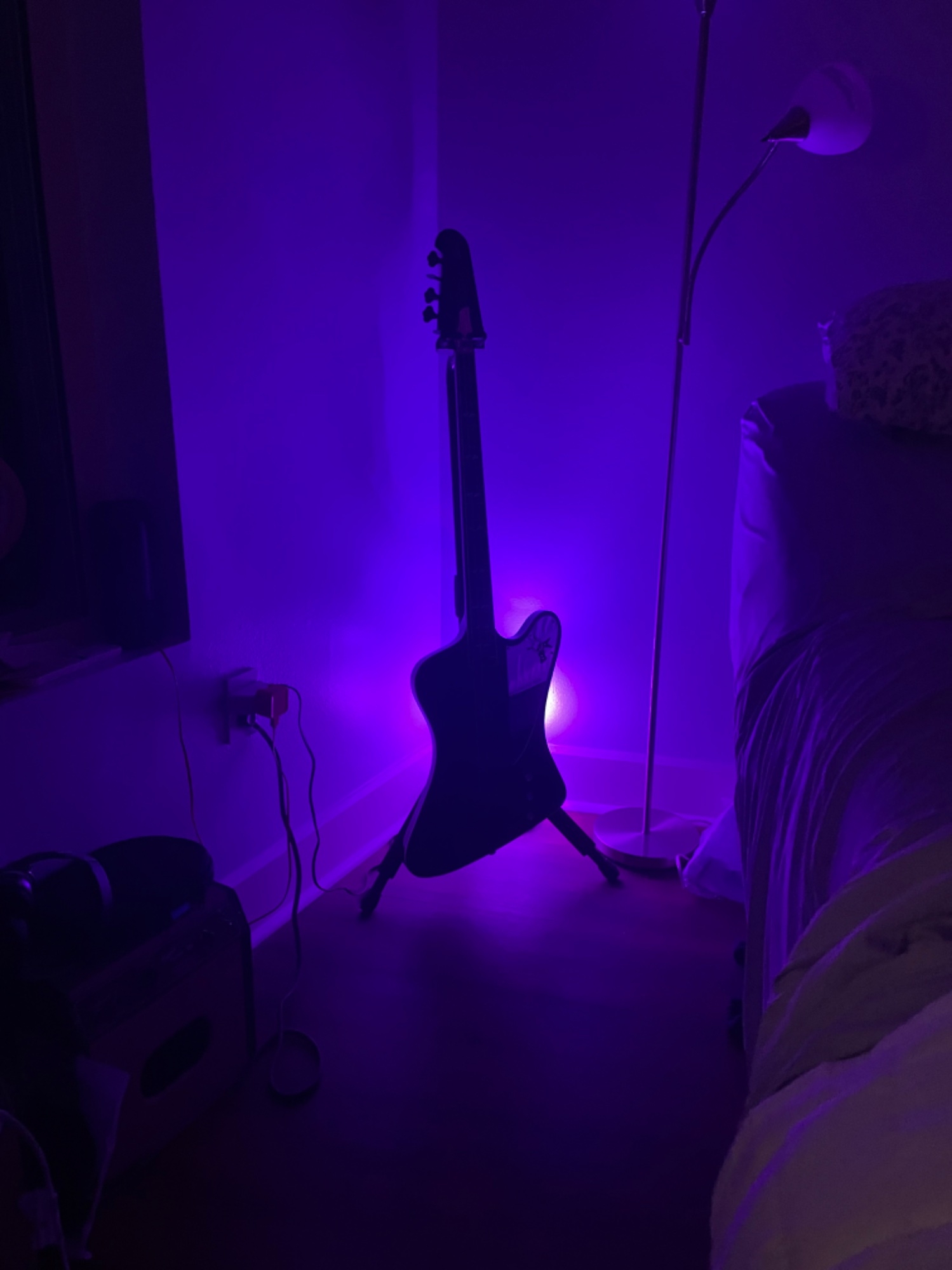 IMG_8277.jpeg