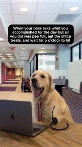 IMG_8336.jpeg