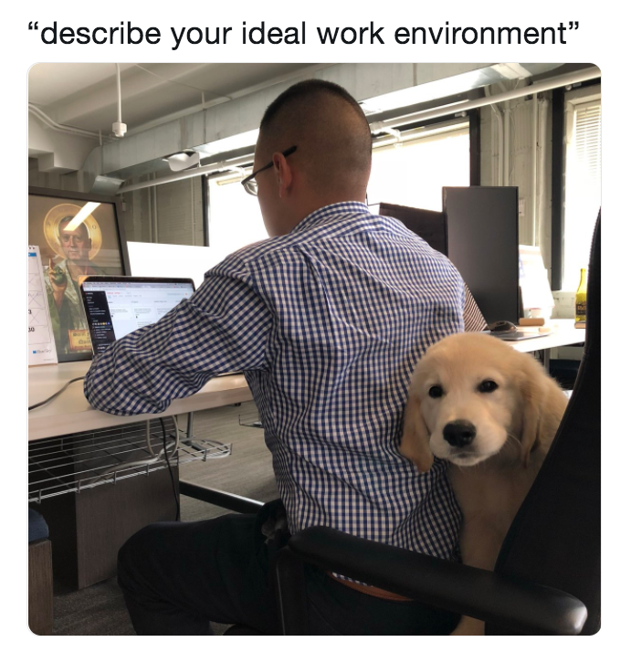 IMG_8433.png