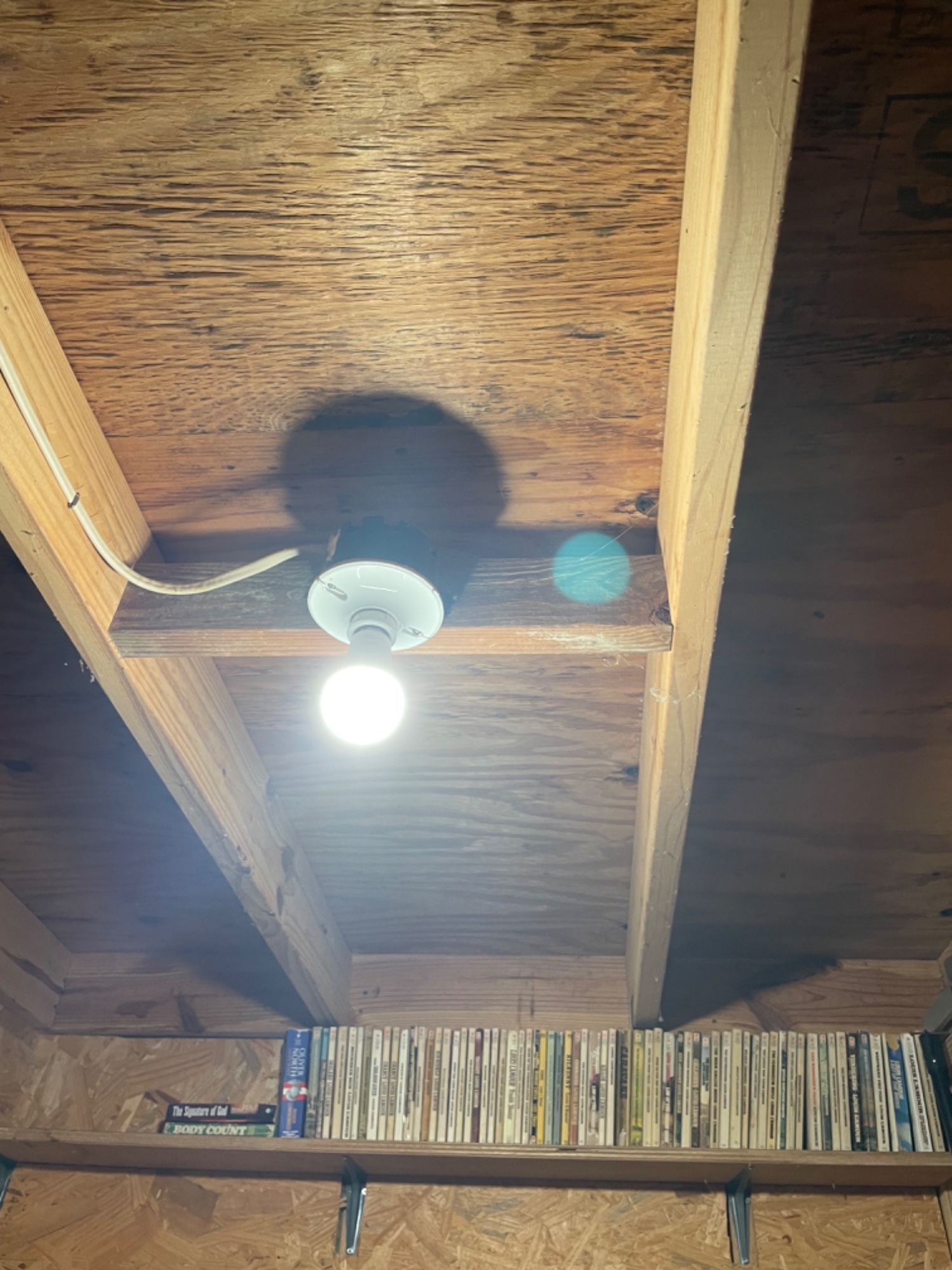 IMG_8468.jpeg