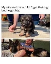 IMG_8505.jpeg