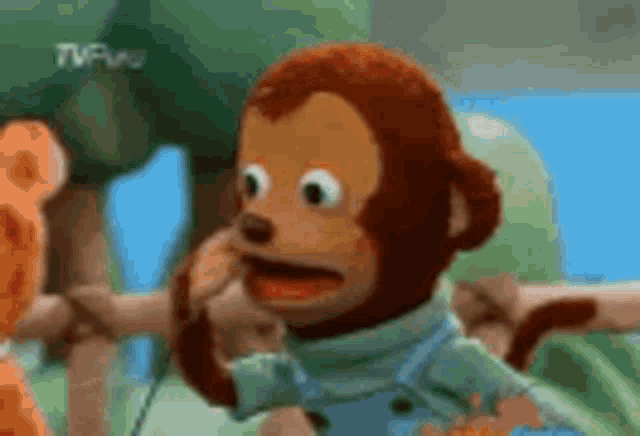 IMG_8520.gif