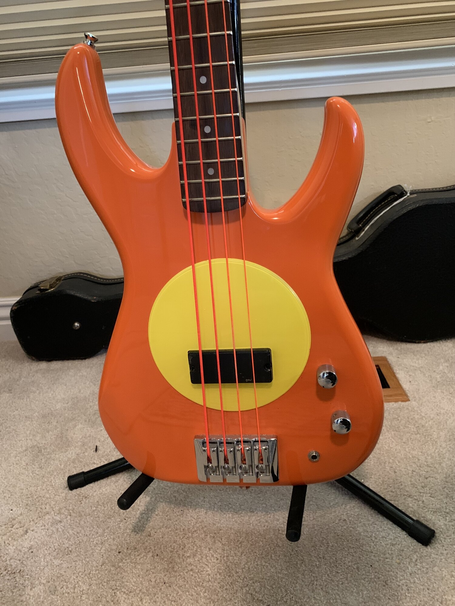 IMG_8571 Flea Bass.JPG