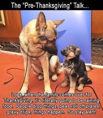 IMG_8651.jpeg