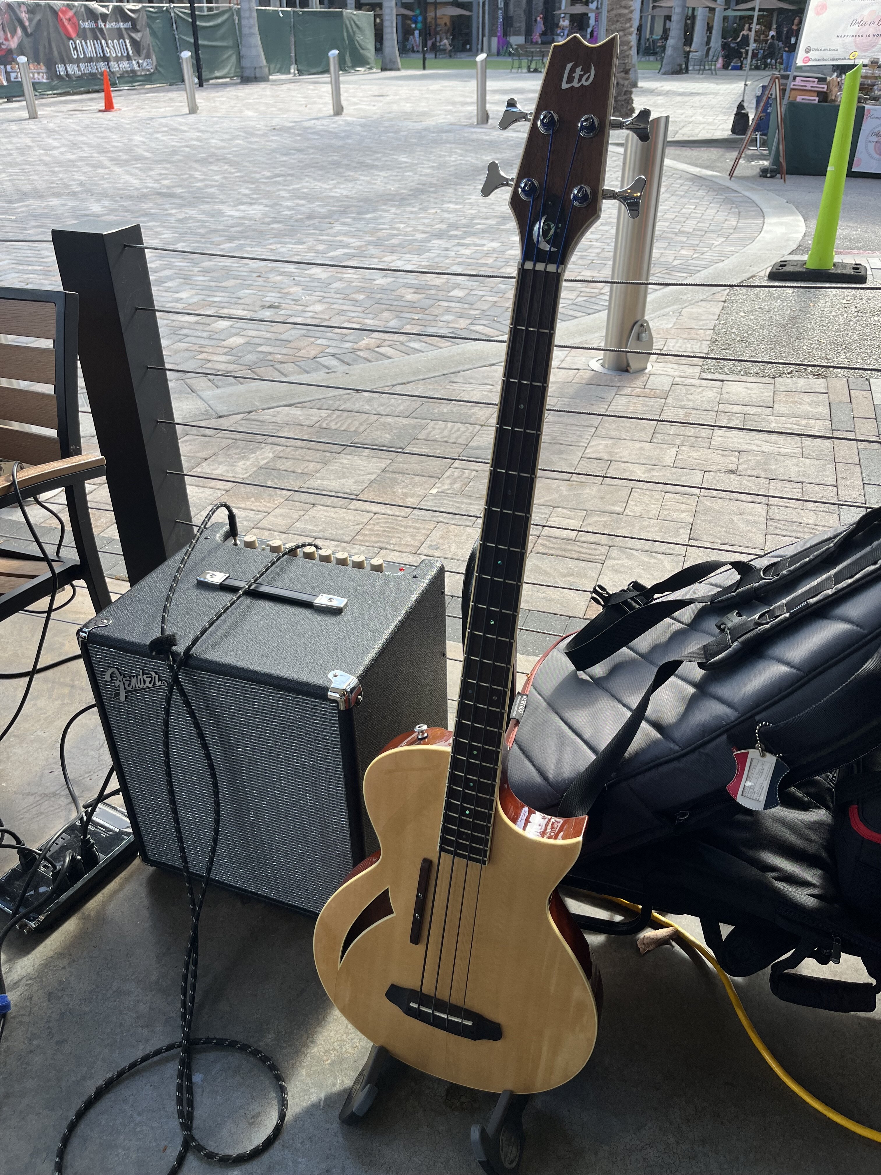 IMG_8653.jpeg