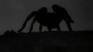 IMG_8706.jpeg