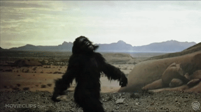 IMG_8763.gif