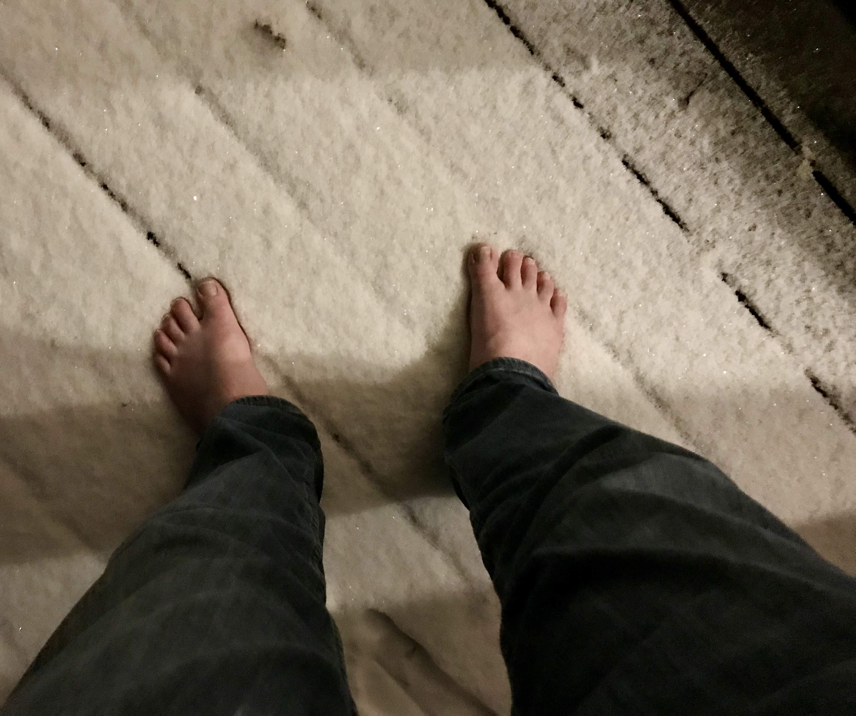 IMG_8866.jpeg
