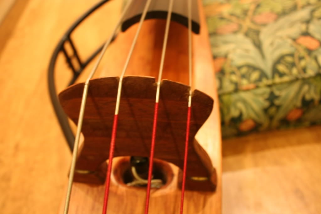 IMG_8892.jpg